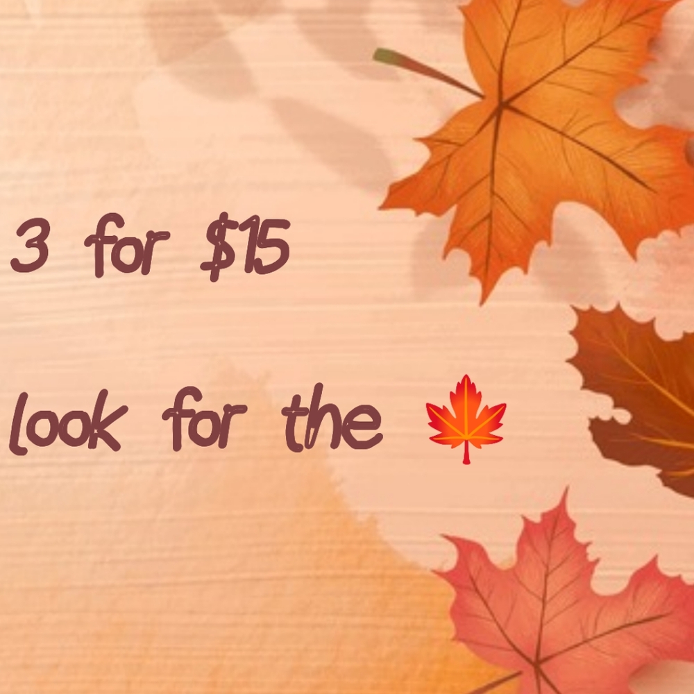 🍁 3/$15 Boutique Fuzzy House Slipper Socks - Picture 4 of 4
